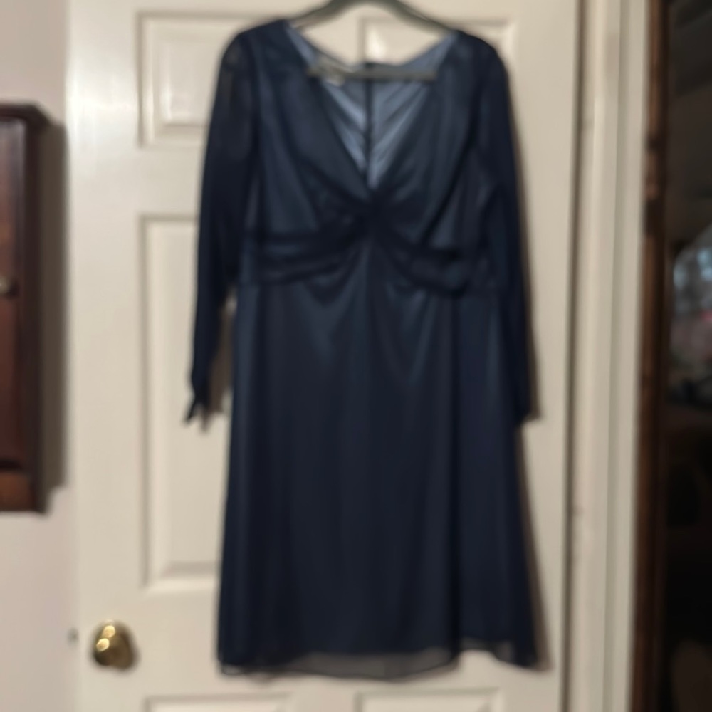 Beautiful Sheer Dress